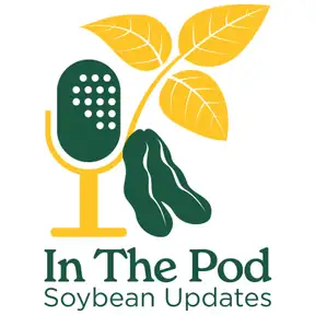 In the Pod: Soybean Updates