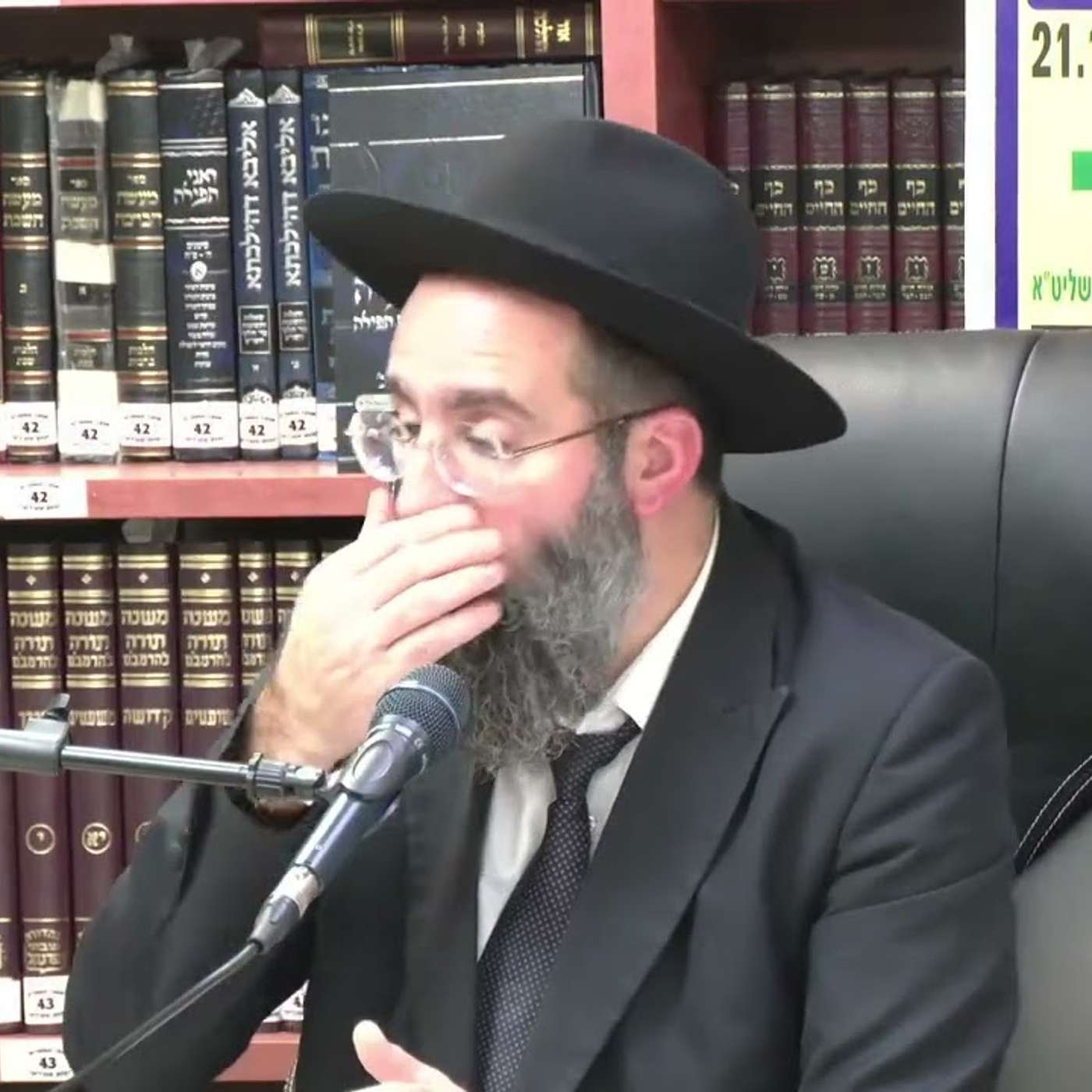הרב אלמוג לוי  : סוגי מוקצה בשבת  והלכותיהם -   חלק ב' .