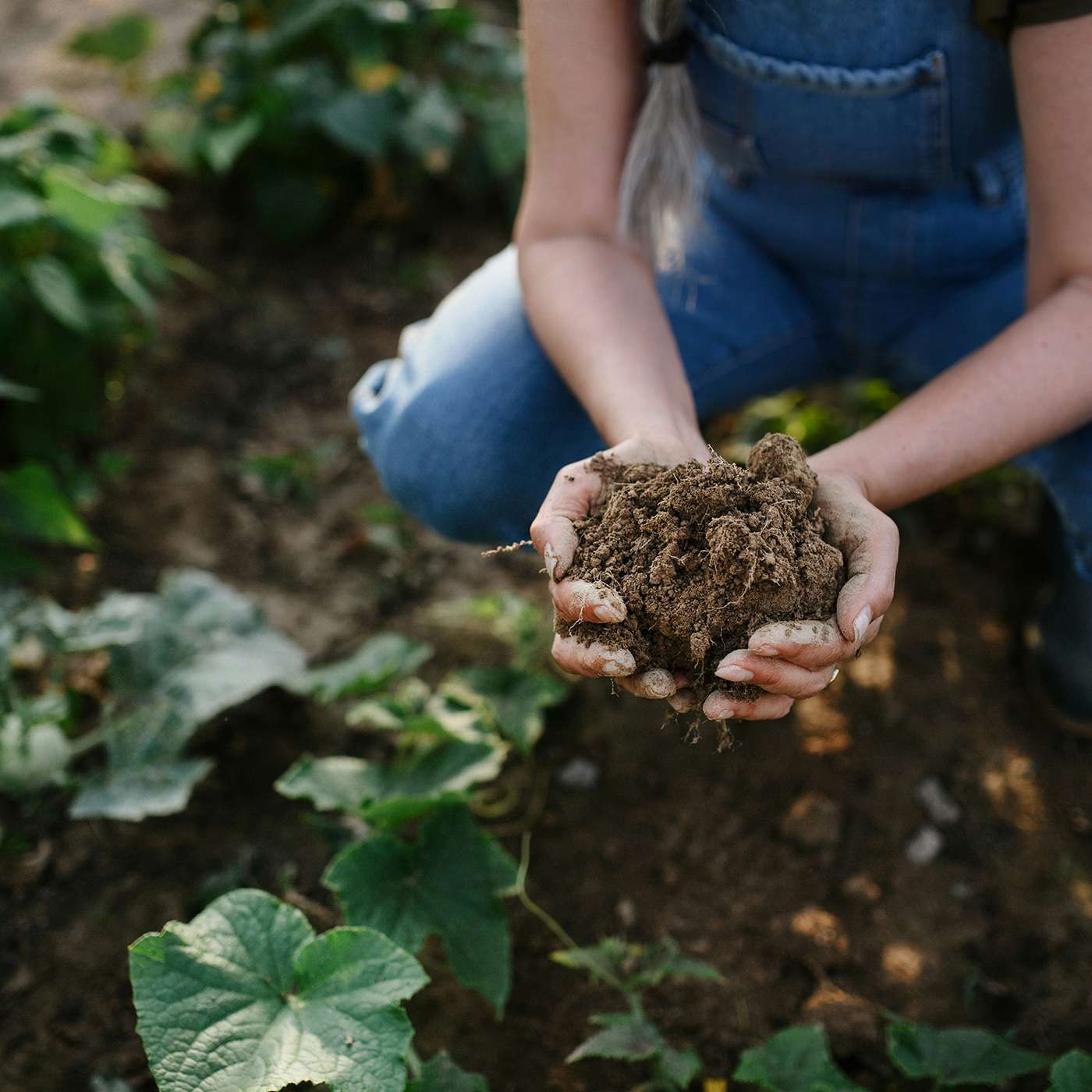 Building Soil: Healing the Earth: Feeding Humanity - Regenerative Farming with Navona Gallegos