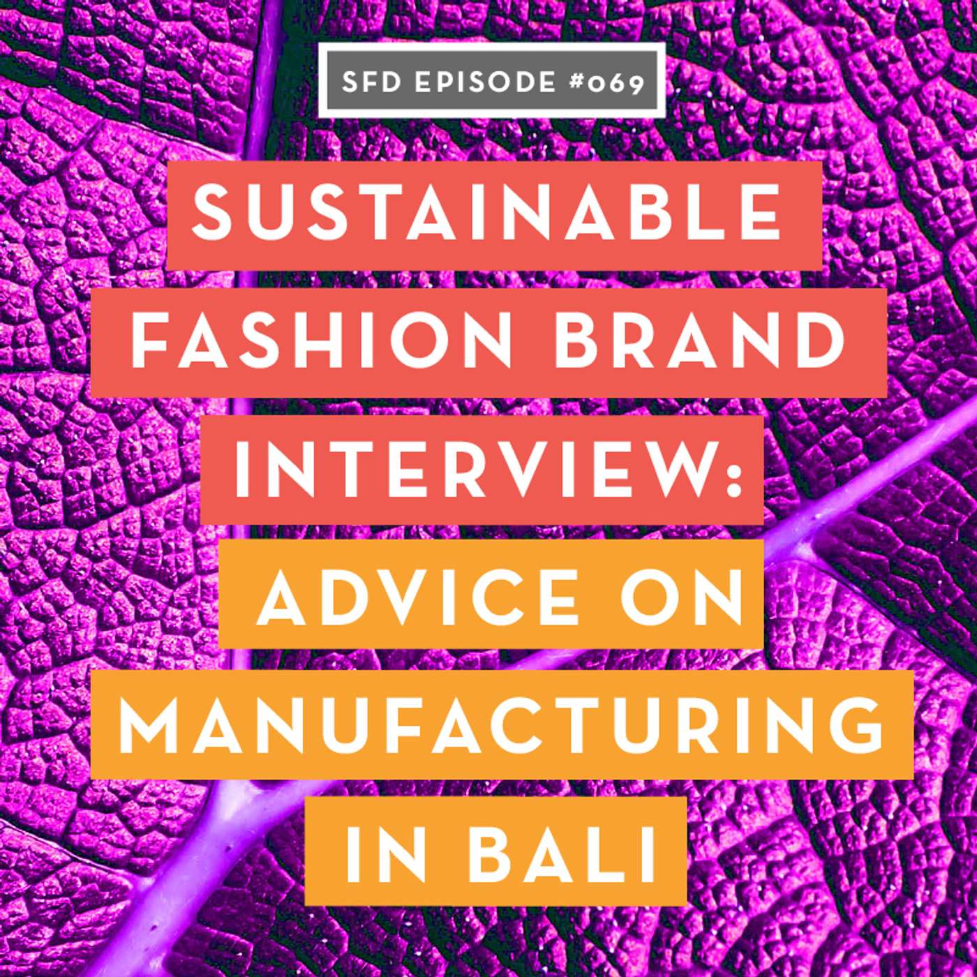 Fashion Designers Get Paid: Build Your Fashion Career On Your Own Terms