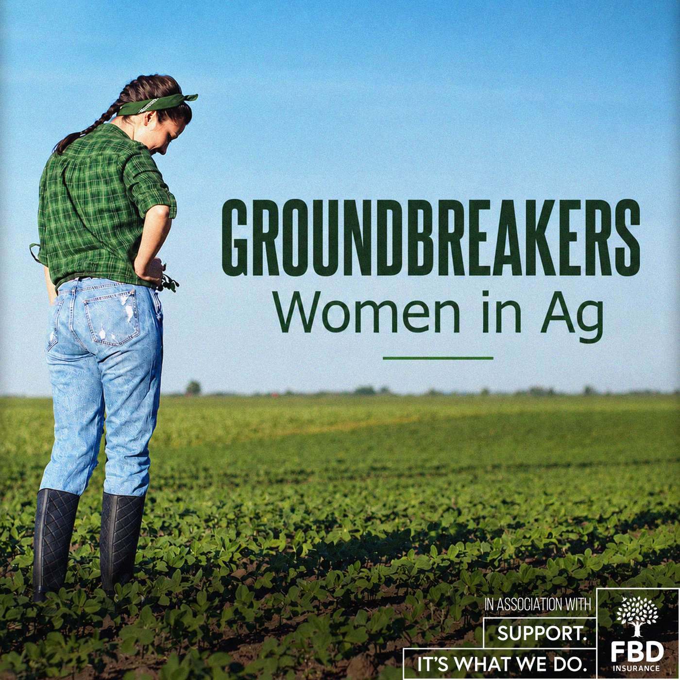 Groundbreakers: From farm to screen - a Cavan farmer's story episode artwork