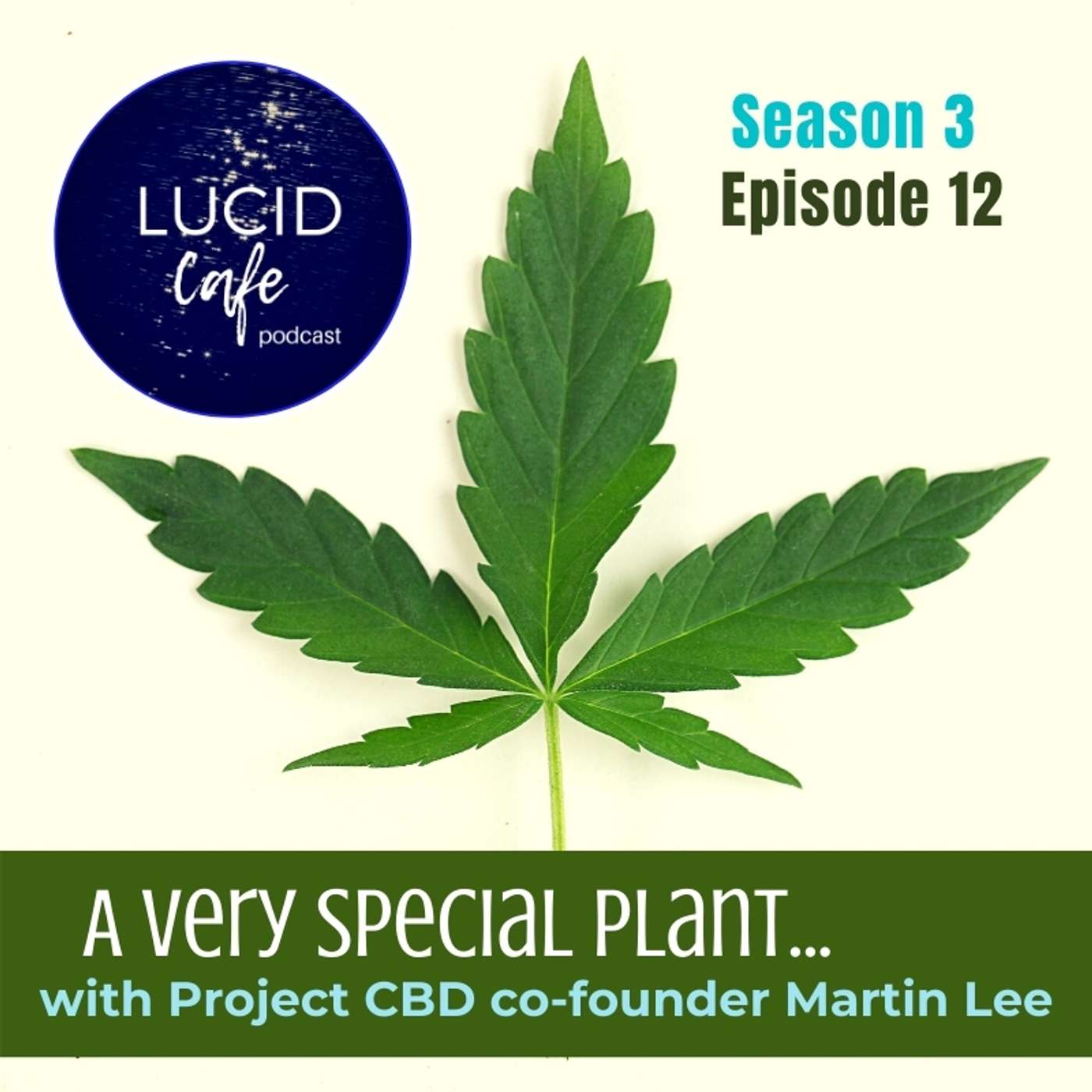 A Very Special Plant....with Project CBD co-founder Martin Lee episode artwork
