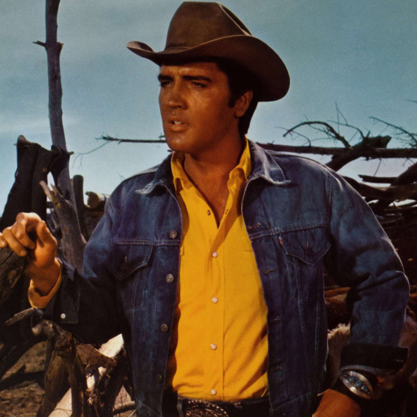 S15: Episode 1: Stay Away Joe – Starring Elvis Presley