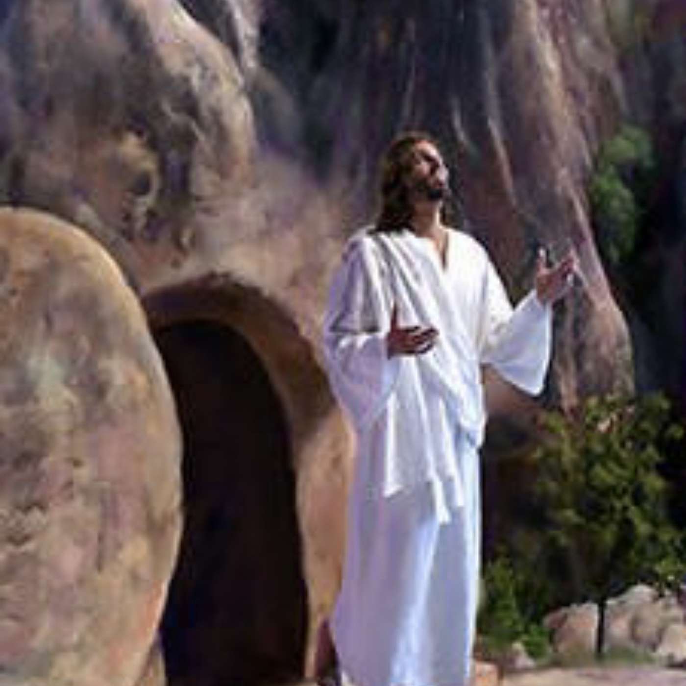 RONNY D THOMASON TALKS BIBLE