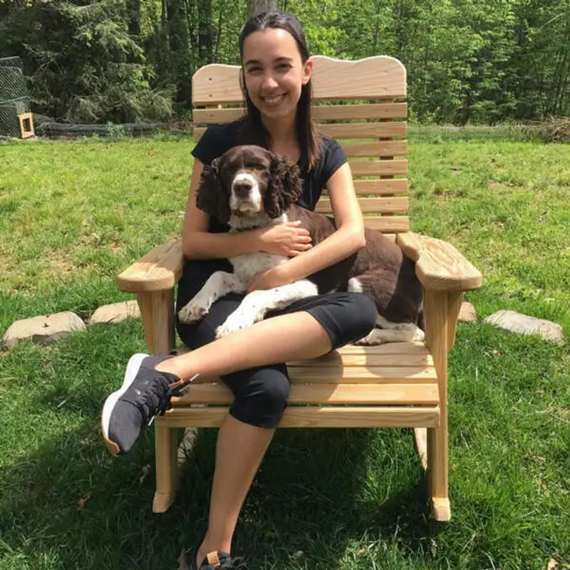 Os poderes que a revisão e a repetição têm no seu Inglês