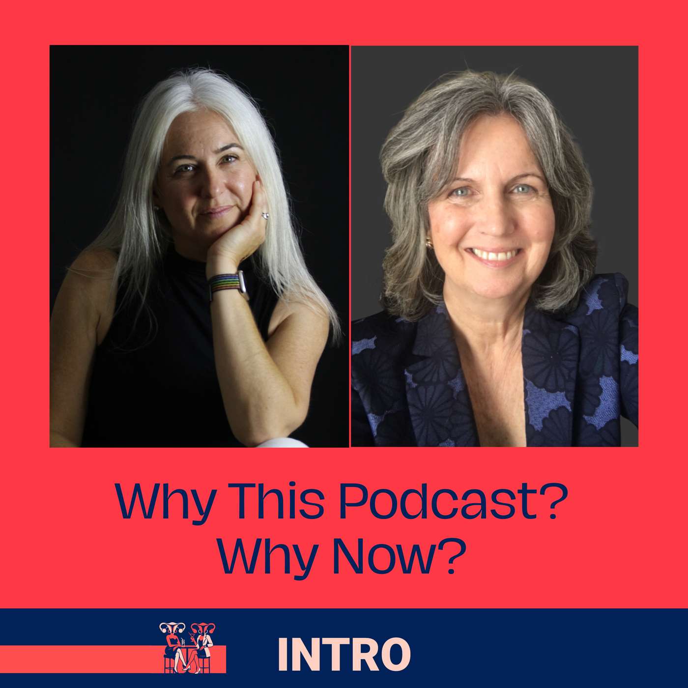 Why This Podcast? Why Now? And What to Expect episode artwork