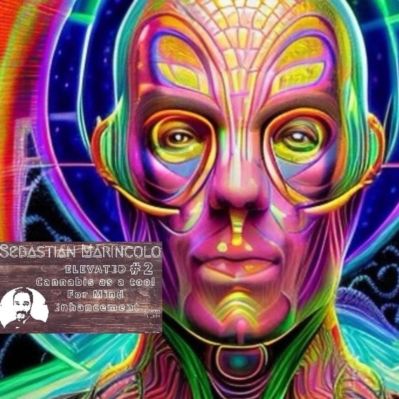 The Art of THE HIGH 2 - Dr. Sebastian Marincolo