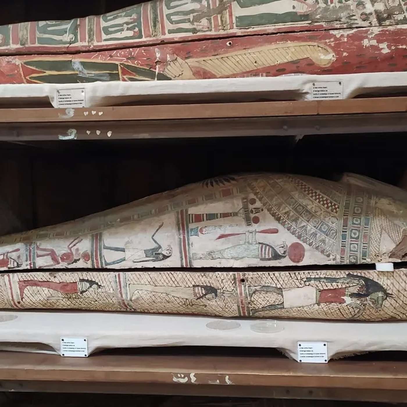 Ancient Mummies Emit Scents, UNC Charlotte Earns R1 Status, CDC Reveals H5N1 Infections, NASA Maps Galactic Ice with SPHEREx, and more...