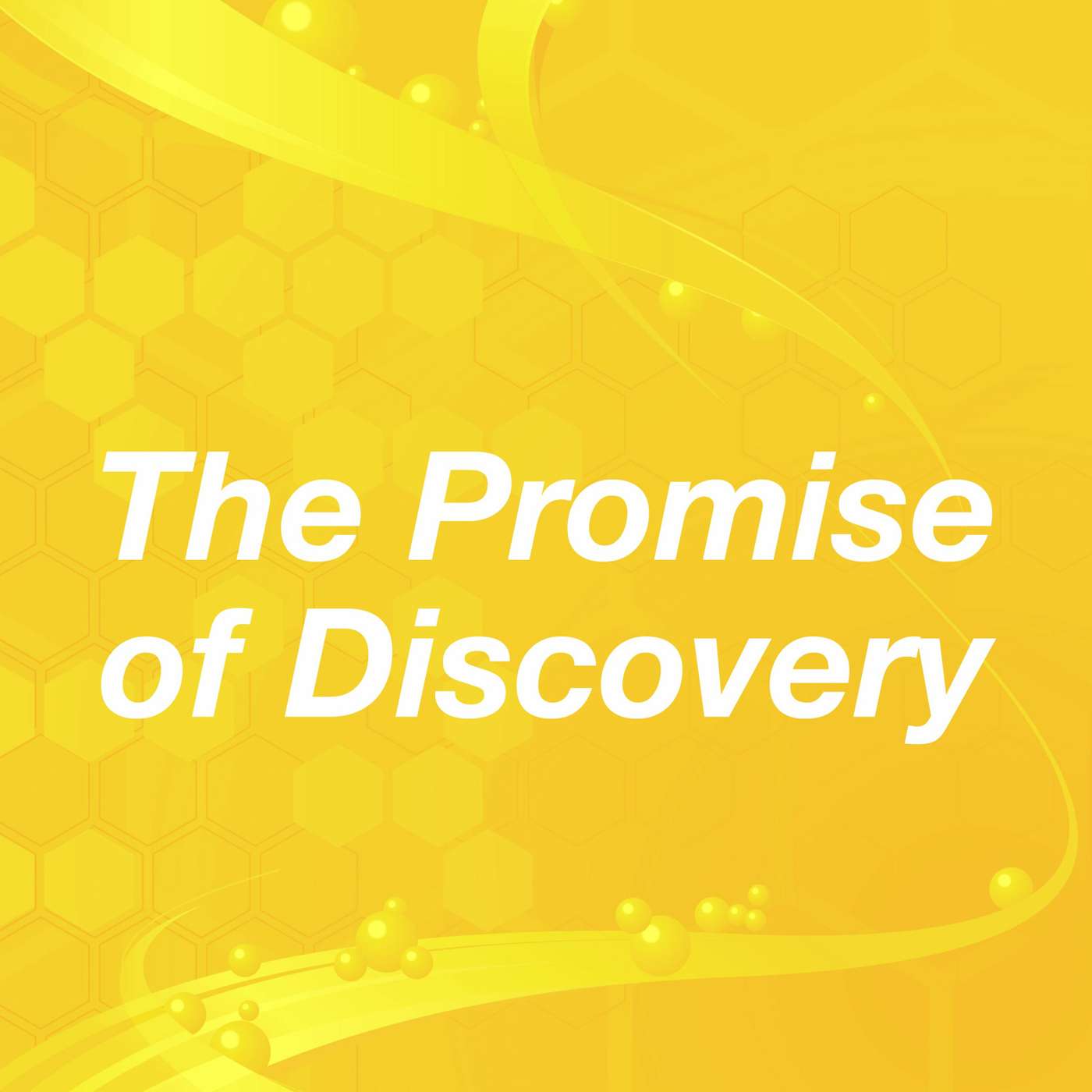The Promise of Discovery