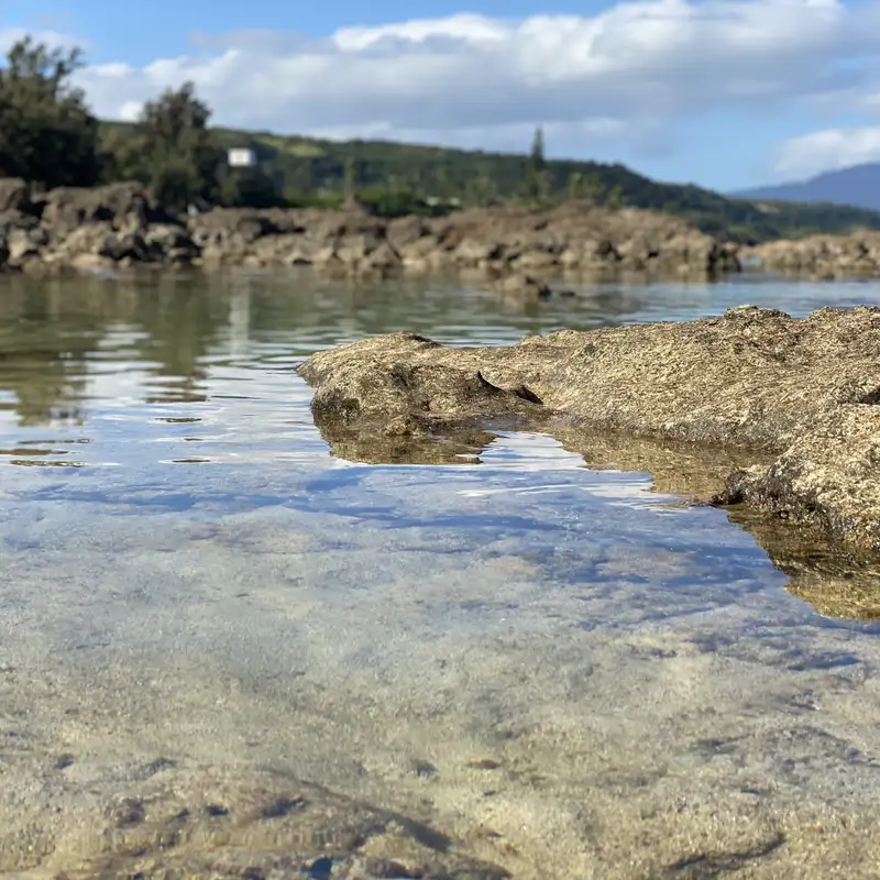 Velikovsky vs. Jaynes: Cosmic Collisions and Consciousness Rebellion Unveiled