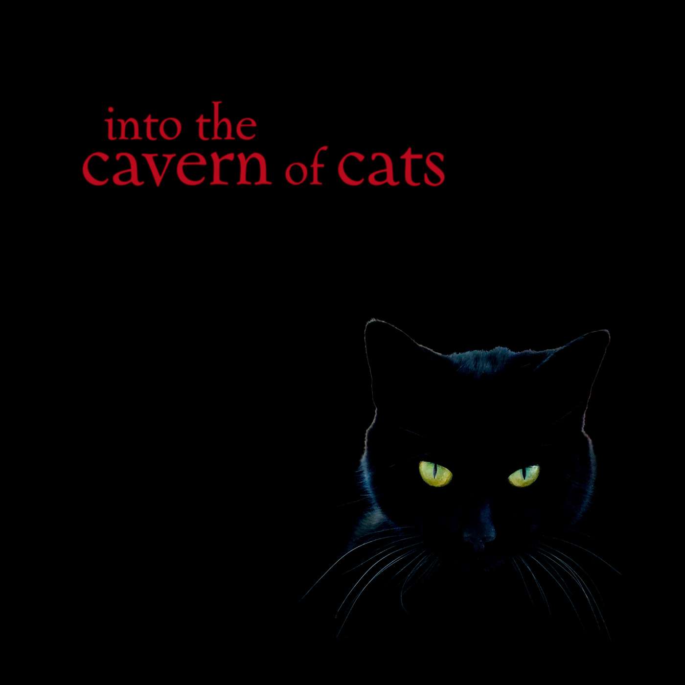 😸 Into the Cavern of Cats  🎃 Halloween Special 🎃  Spooky, Ambient Soundtrack 😽 episode artwork