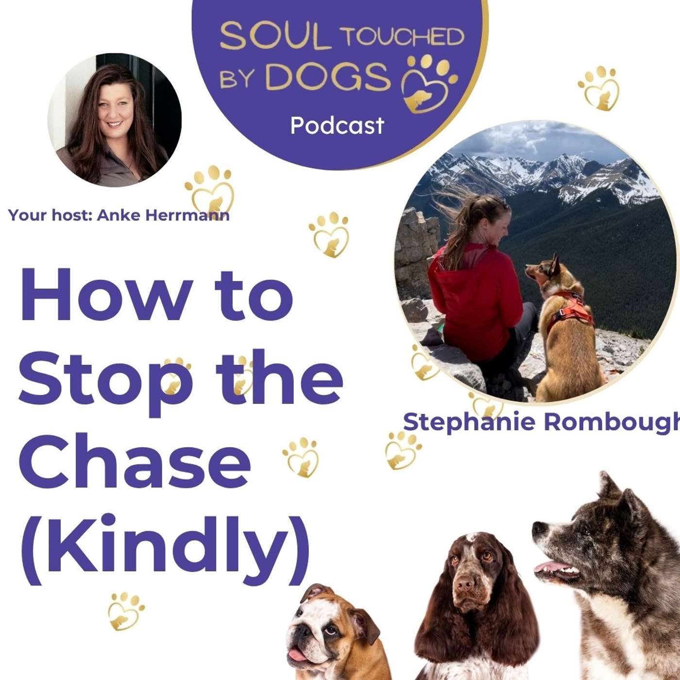 Stephanie Rombough - How to Stop the Chase (Kindly)