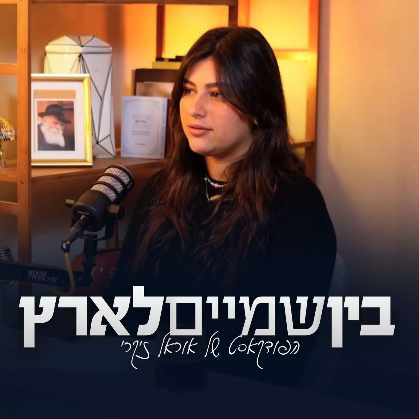 בין שמיים לארץ - אוראל זיקרי cover art