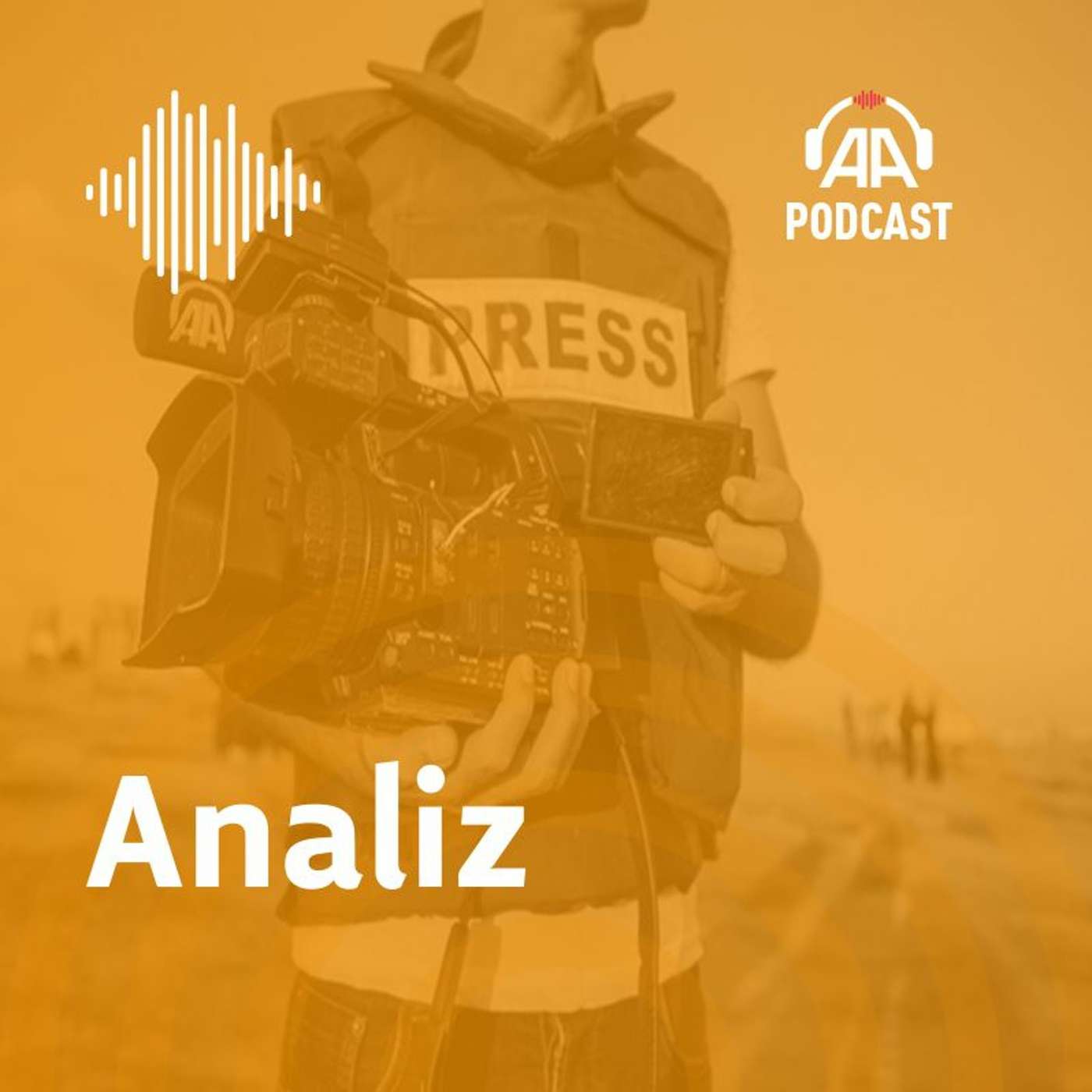 Analiz ve görüşler