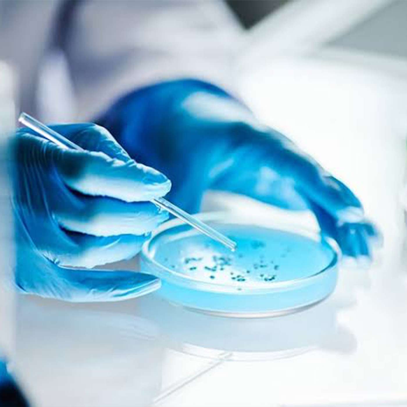 Mold Infections Prove Deadlier, Wave Life Sciences Advances RNA Therapies, Psilocybin Therapy Aids Veterans, Diet Sparks Gut Brain Disconnect, and more...