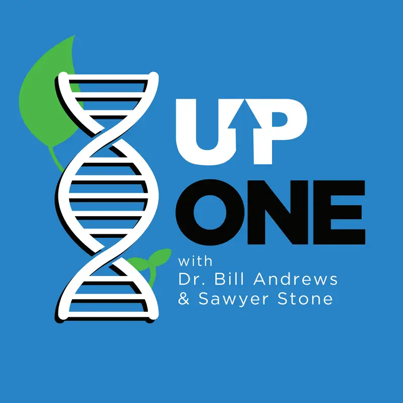 Up One