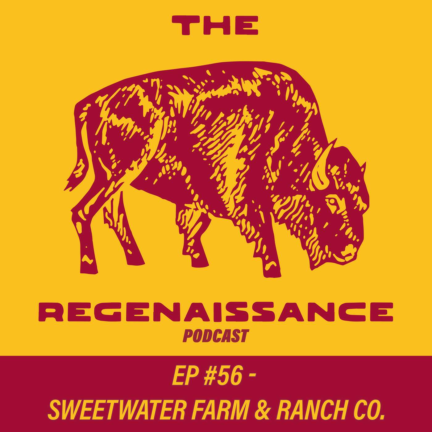 The Regenaissance Podcast