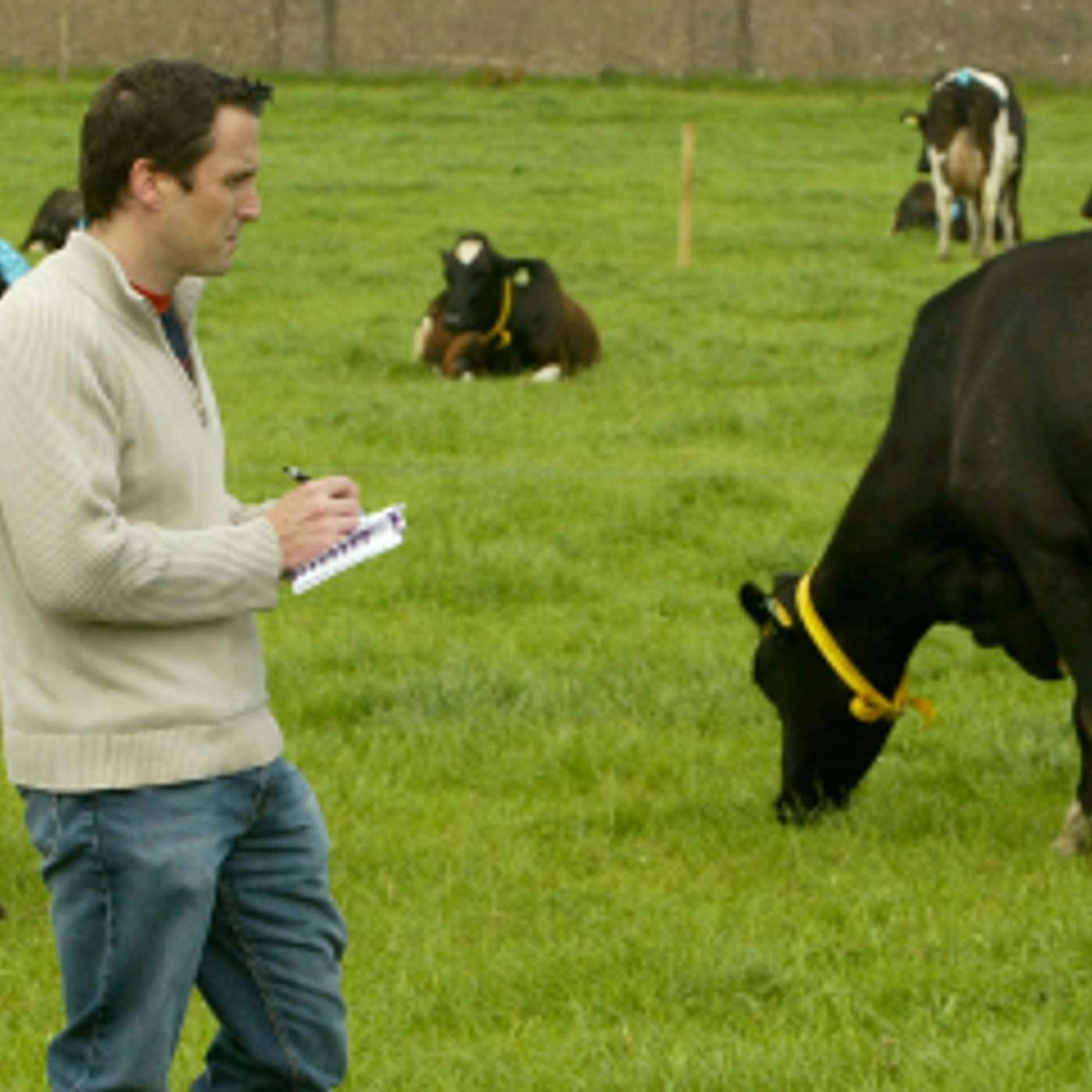 How to use the Lean model to make savings and increase efficiencies on your farm