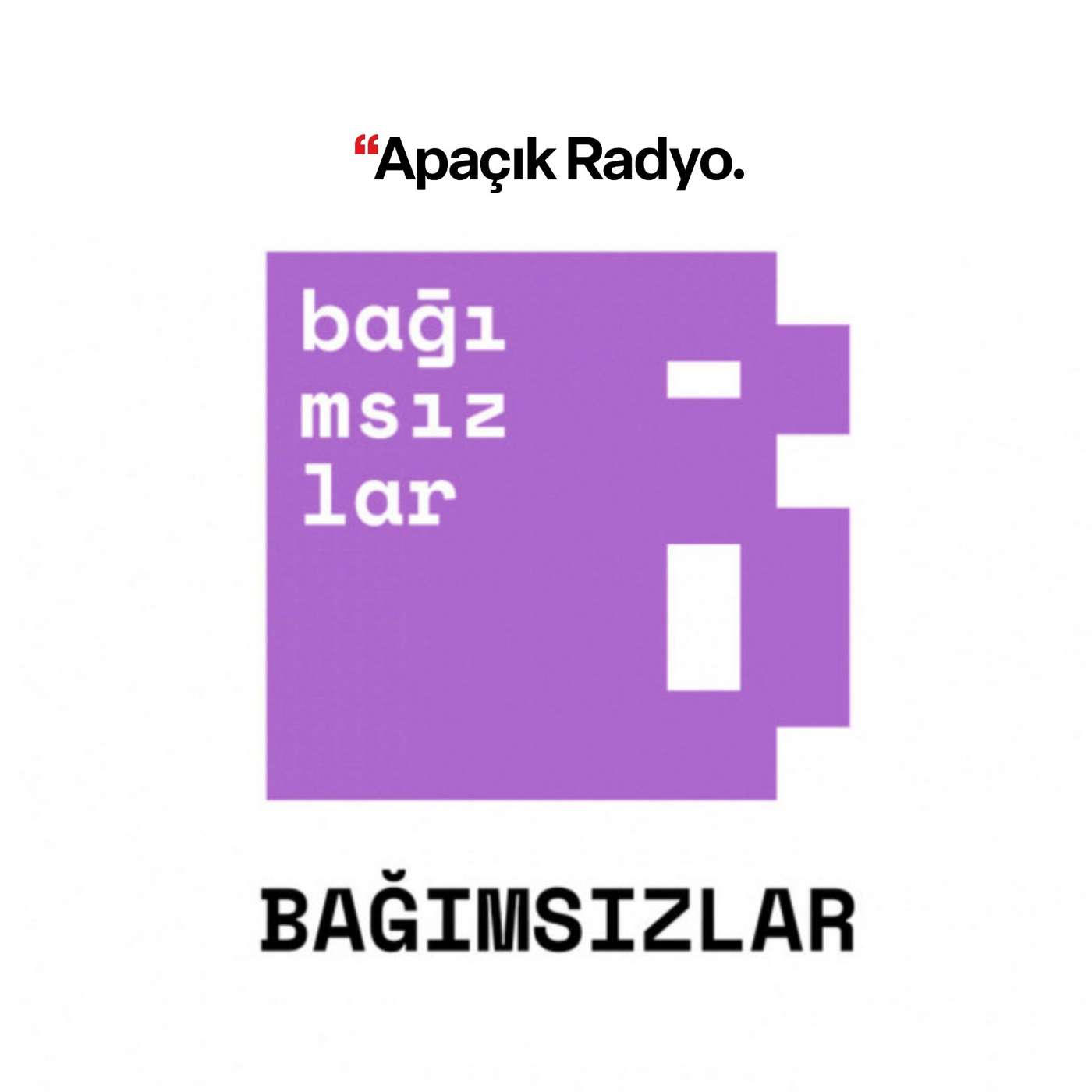 Haydarpaşa Dayanışması