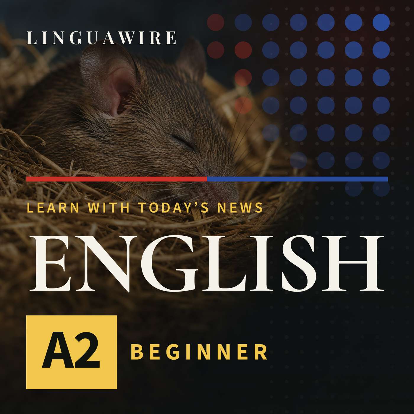 A2 English News | Mice Lose Synapses but Keep Their Memories