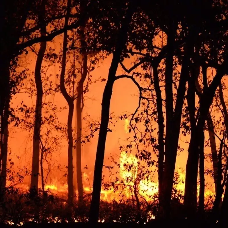 ECONOMIE - Le coût financier considérable des incendies au Canada