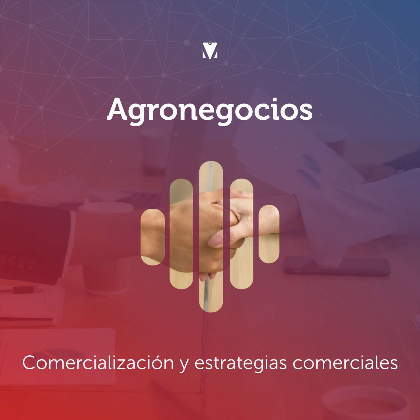 3 - AGRONEGOCIOS: Comercialización y estrategias comerciales episode artwork