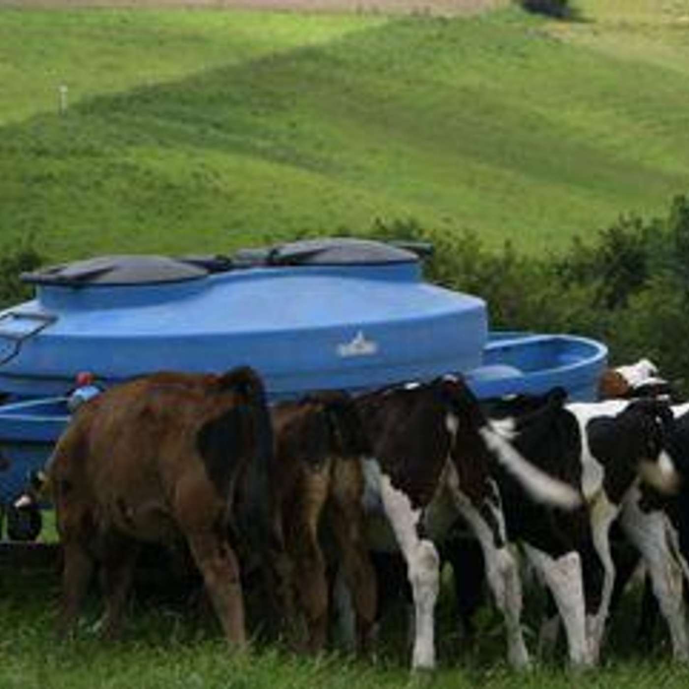 Labour and Grassland Management