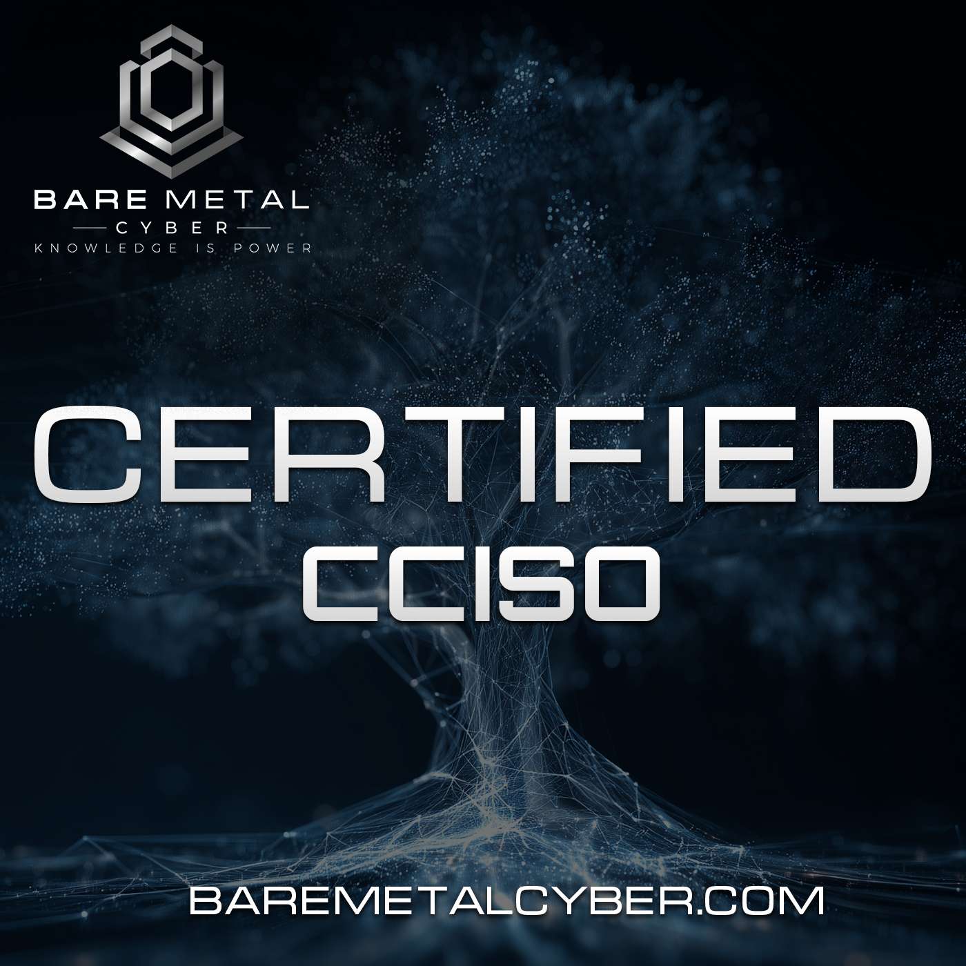 Certified: The CCISO Audio Course