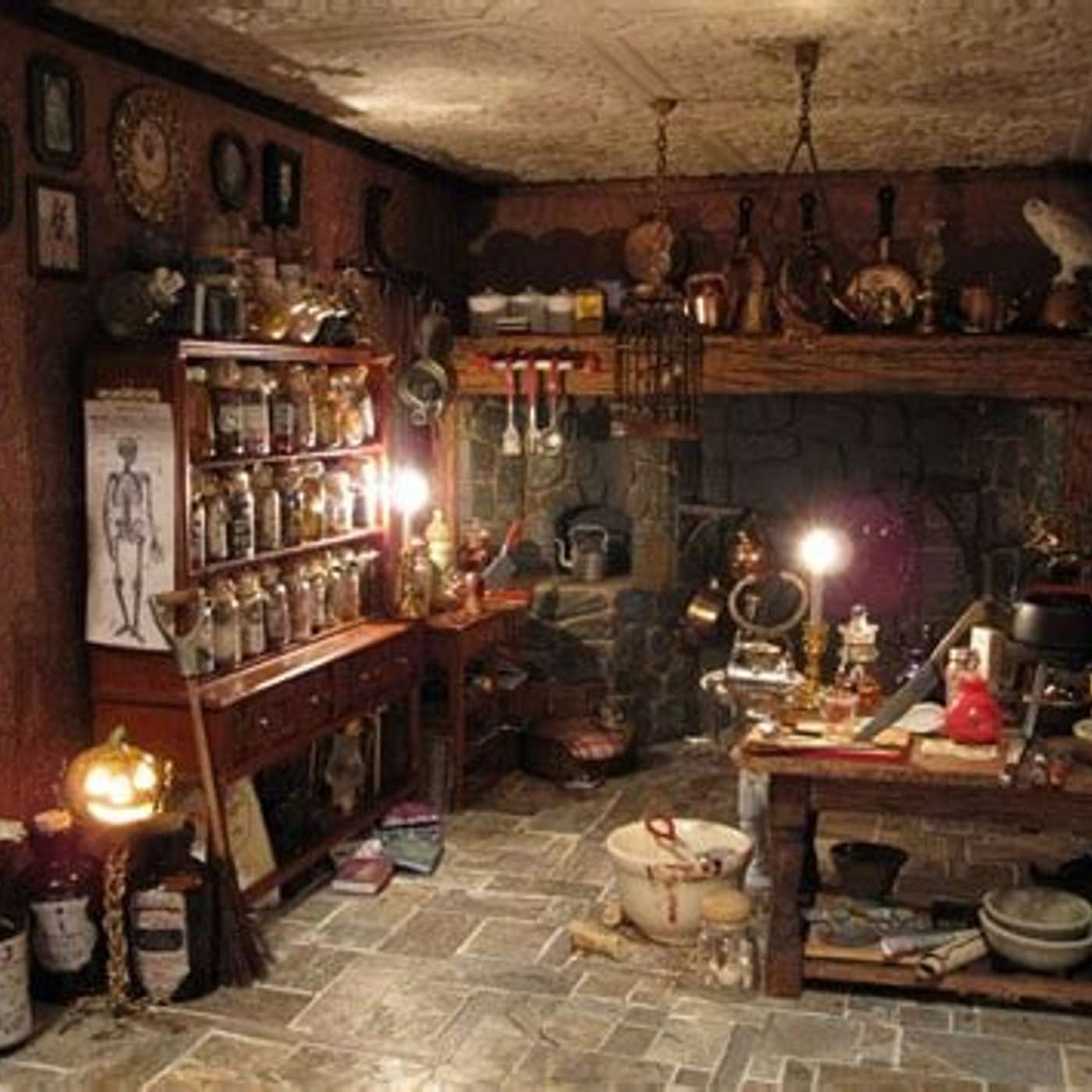 Flappy's Den ~January 23, 2026