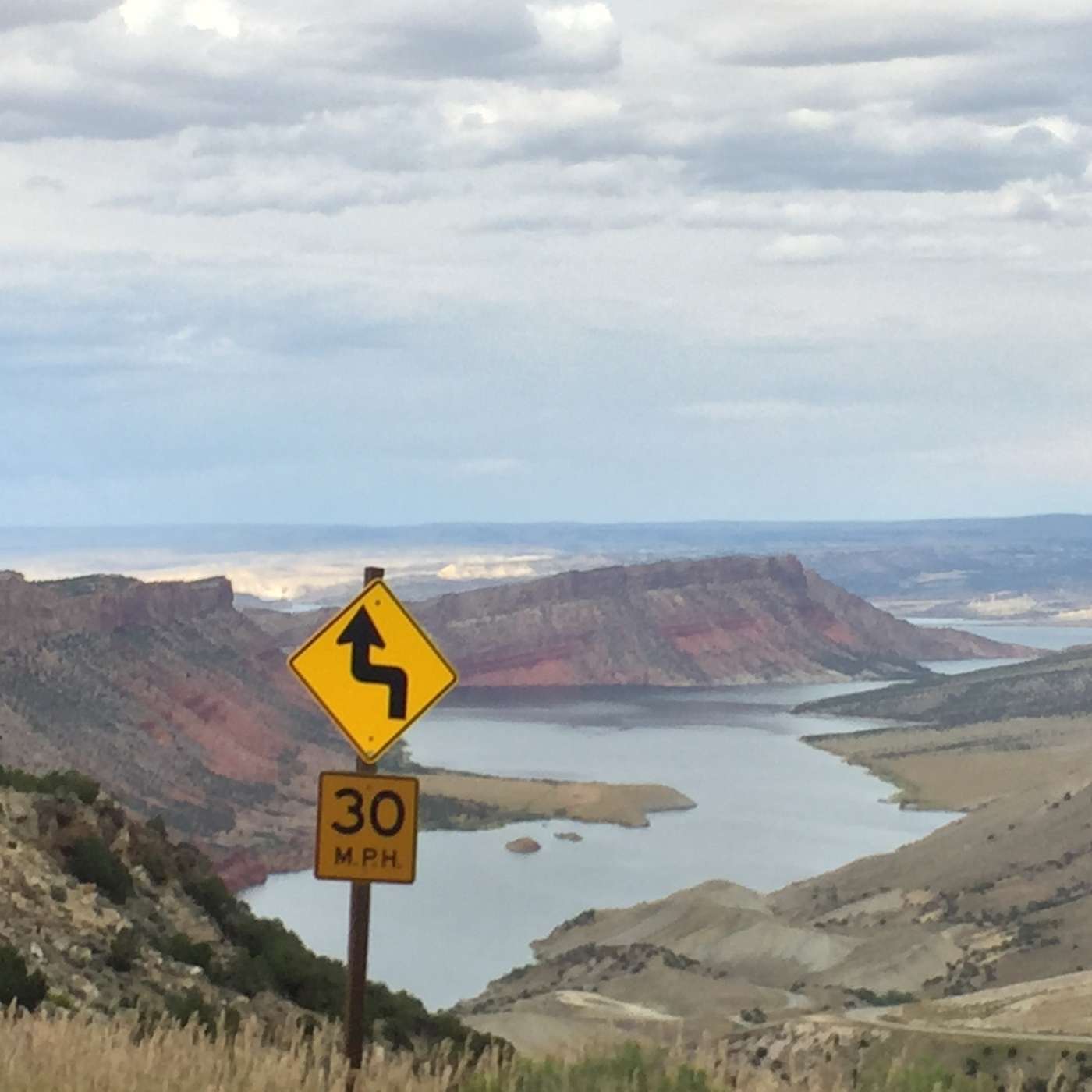 Biz Whip Podcast Show