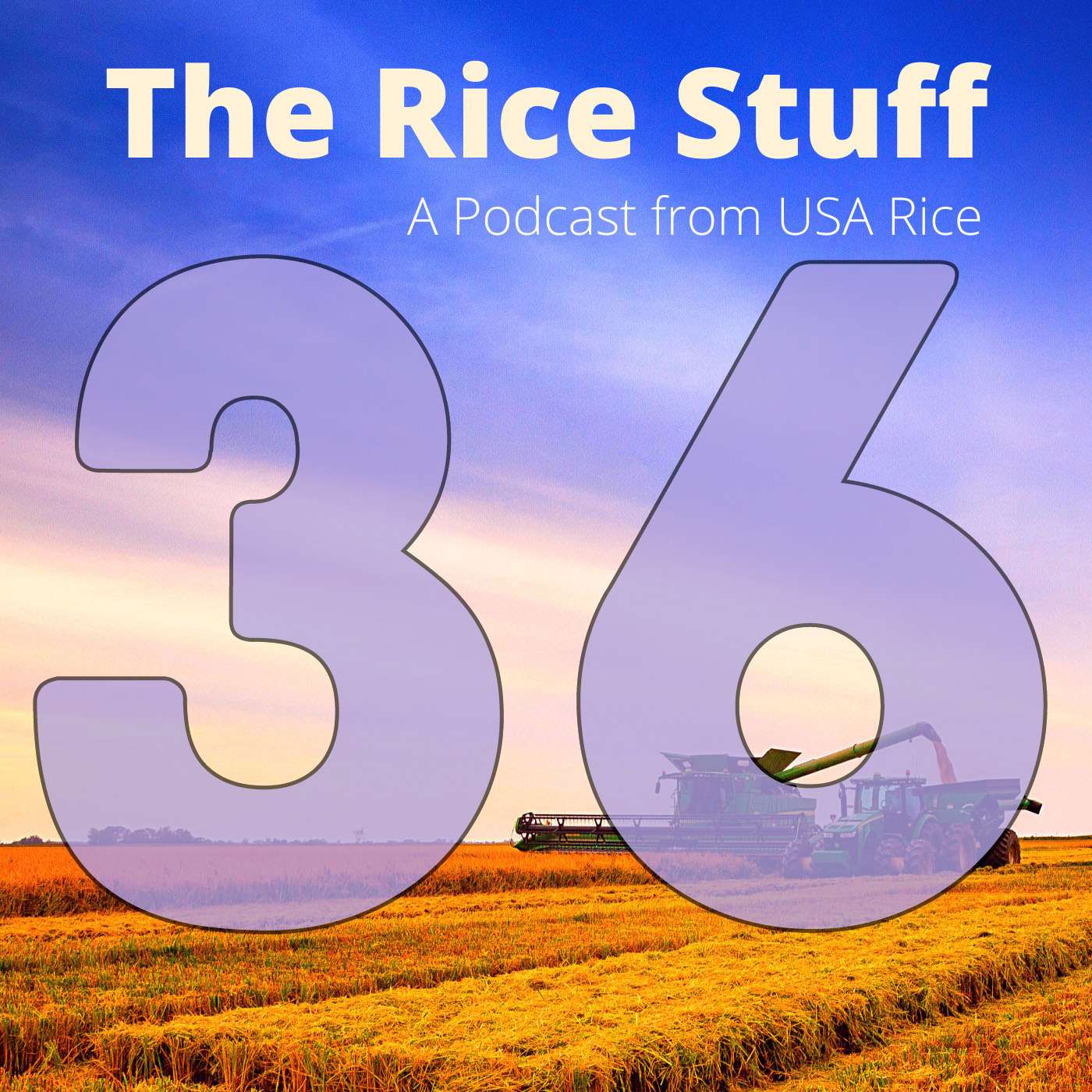 The Rice Stuff