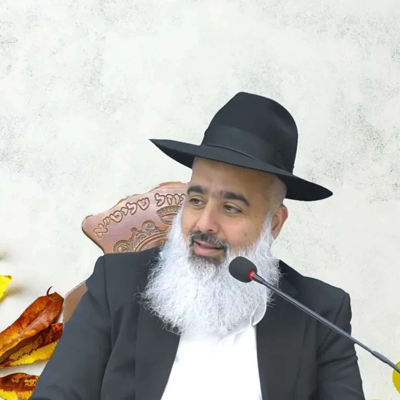 המגלה עמוקות - תעצמו את העיניים ותדמיינו 💥 זה מ ט ו ר ף 🔥🔥🔥 הצדיק רבי נתן נטע שפירא זצ"ל episode artwork