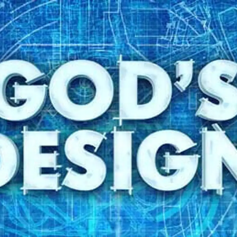 God's Design for Marriage (Audio)