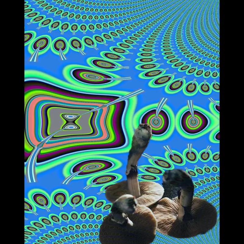 Psychedelic Medicine - Who Decides 