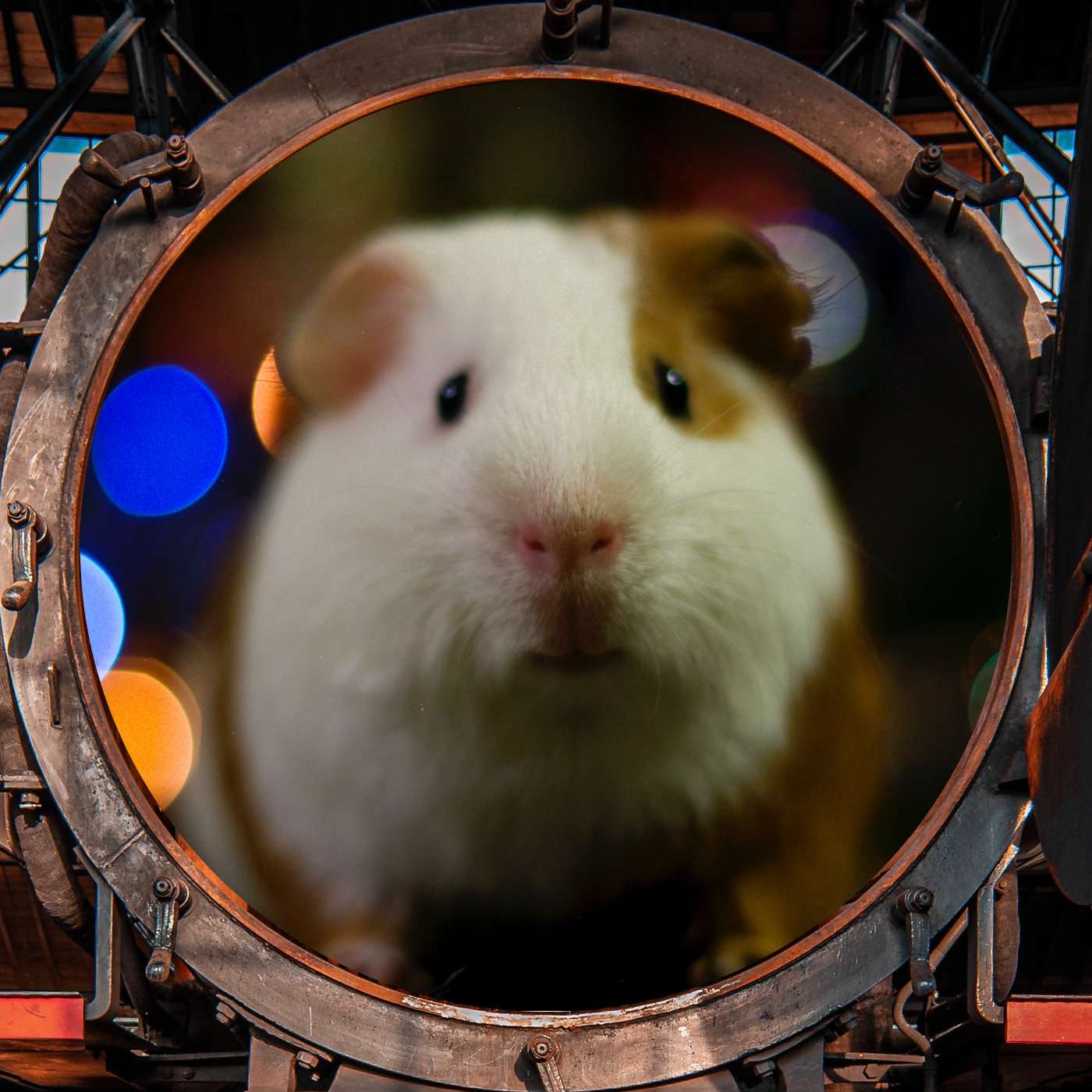 System Overload System Overload