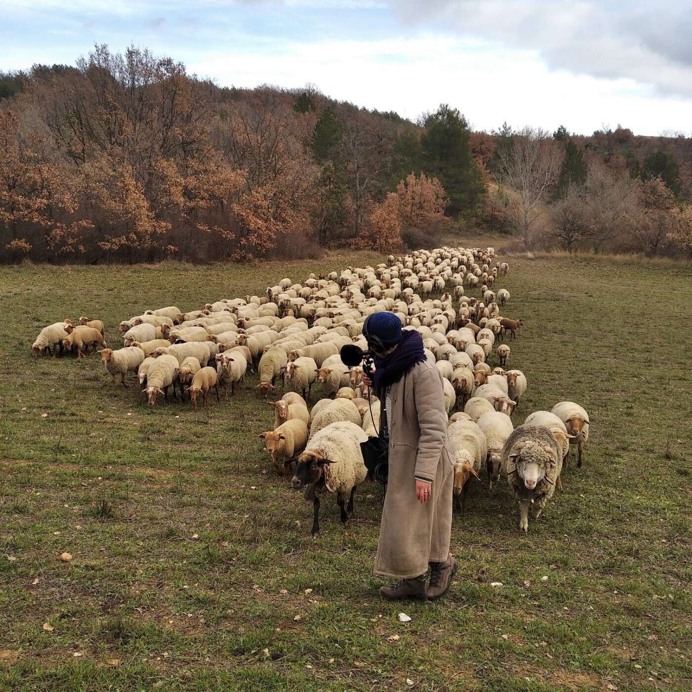 L\'Art de l\'Écoute