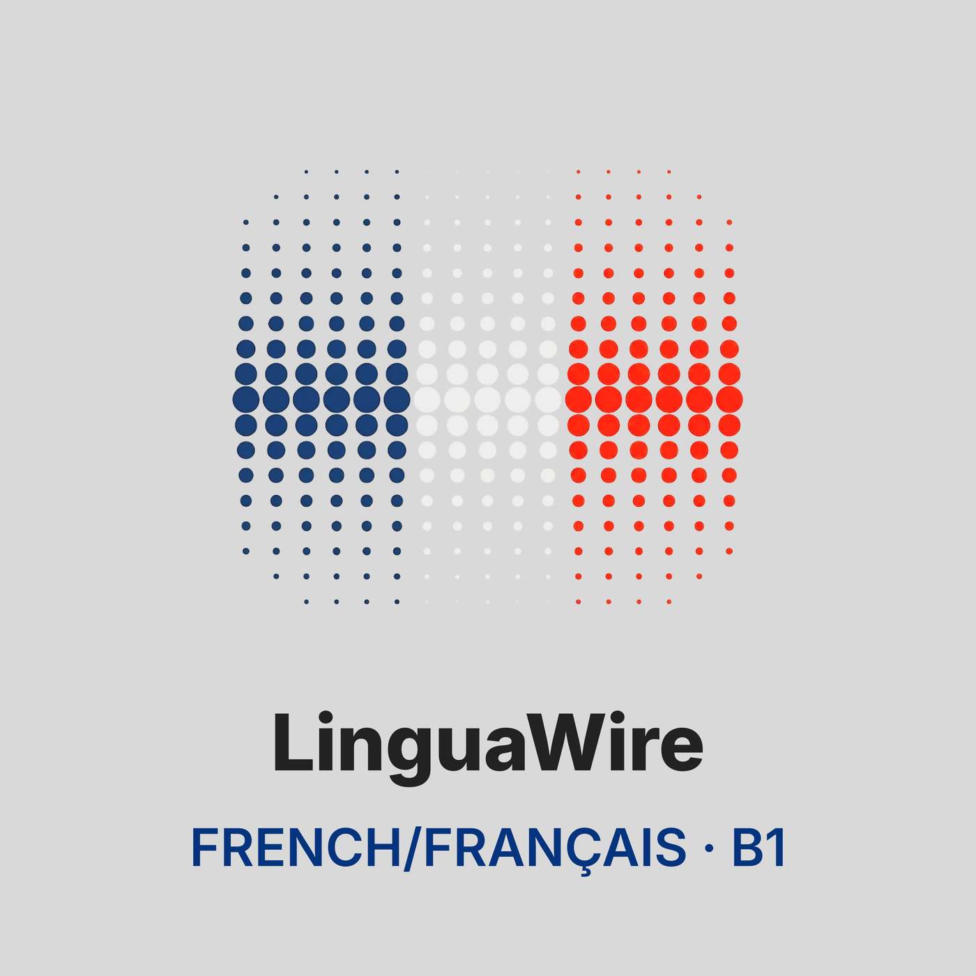 Learn French B1 with Daily News | French Listening Practice New Episode