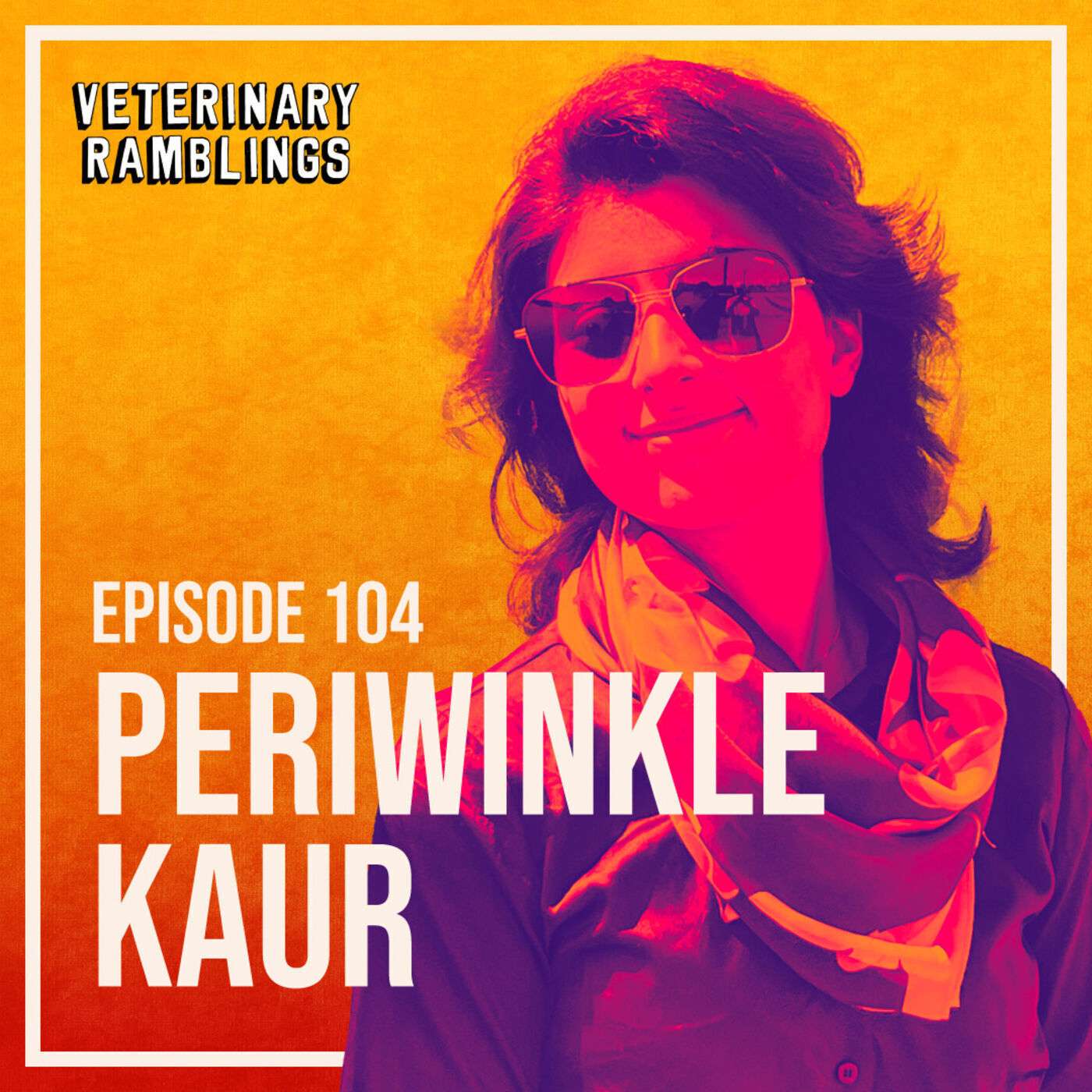 Episode 104: Unlearning The Traditional Approach With Periwinkle Kaur episode artwork