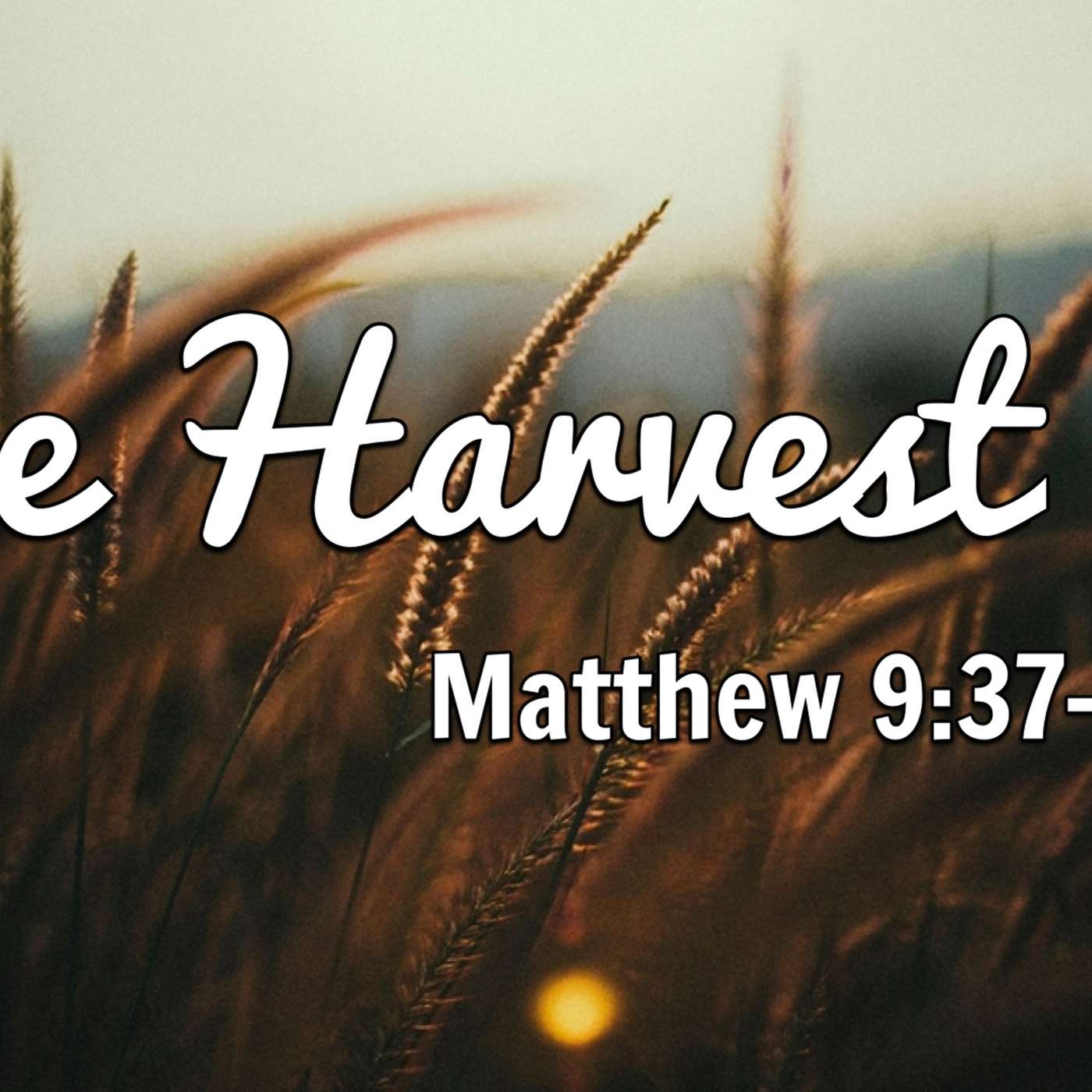The Harvest | 06/22/25 Morning Service