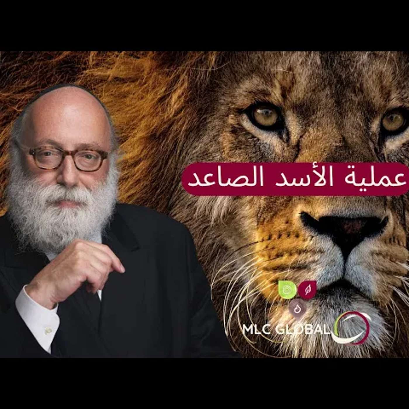 عملية الأسد الصاعد episode artwork