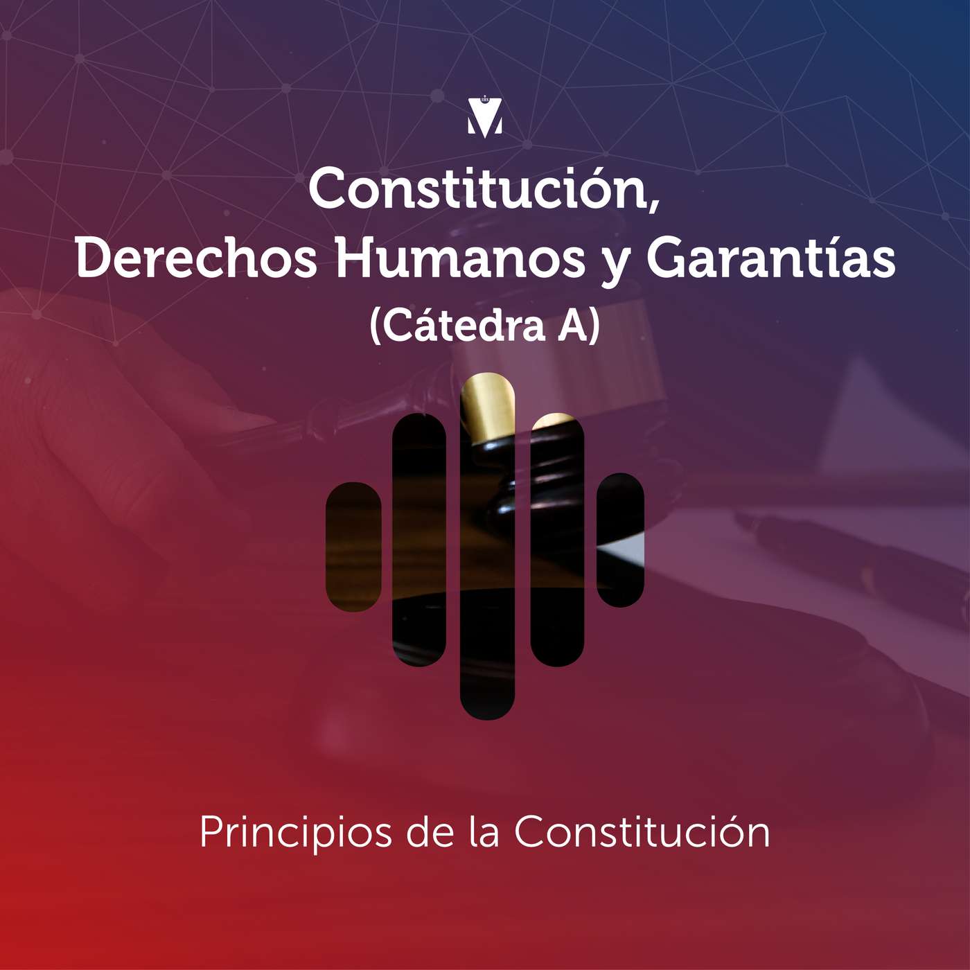 1 - CONSTITUCIÓN, DERECHOS HUMANOS Y GARANTÍAS (CÁTEDRA A): Principios de la Constitución episode artwork