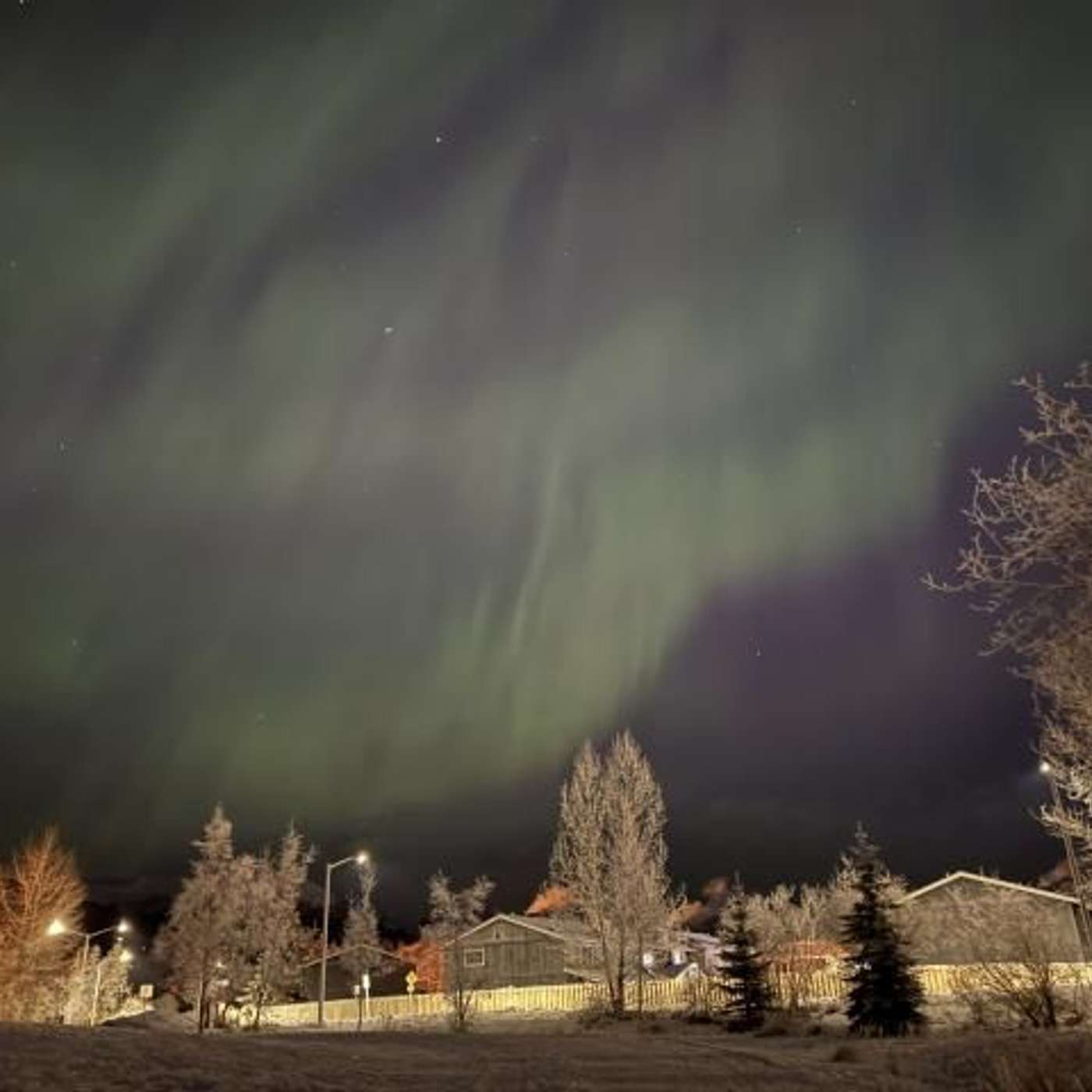 17 States to See Auroras, Autism Diagnoses Reach New High, Groundbreaking Trial for Pig Organs, Study Links Sports Bras to Spine Harm, and more...