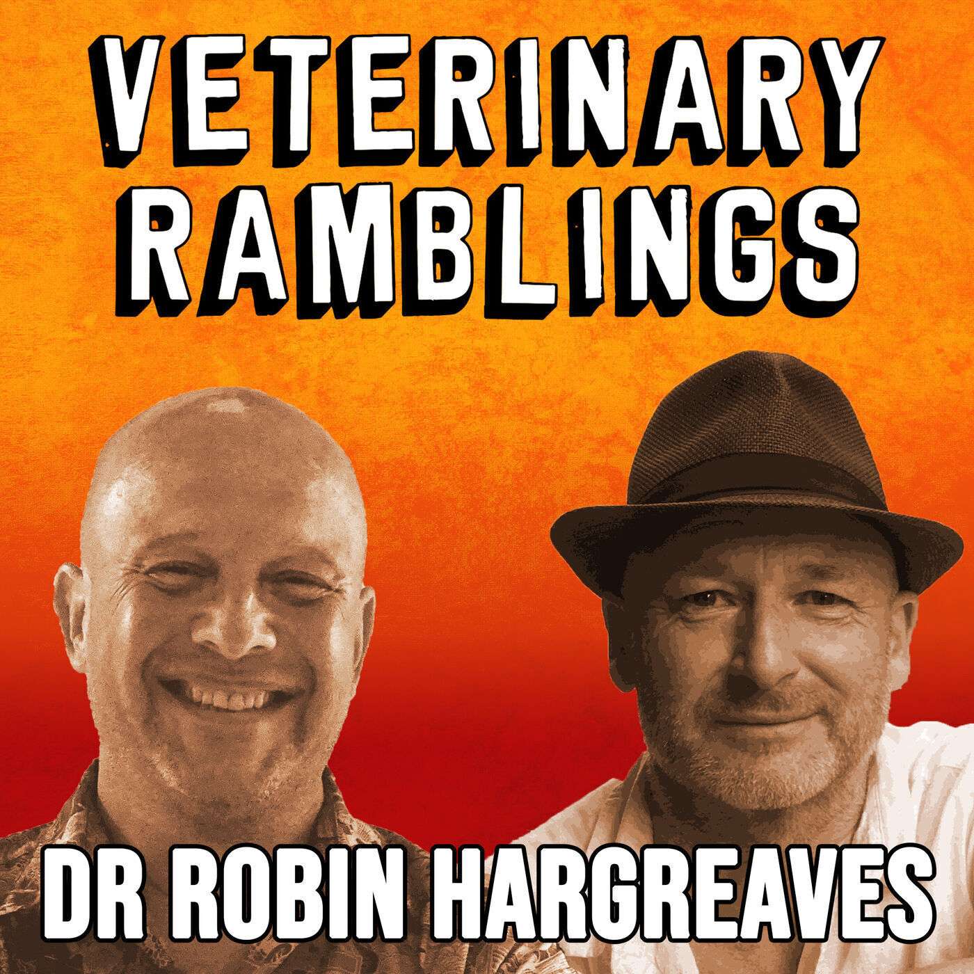 Ep 34: Life, Death & Screw Ups With Dr Robin Hargreaves episode artwork