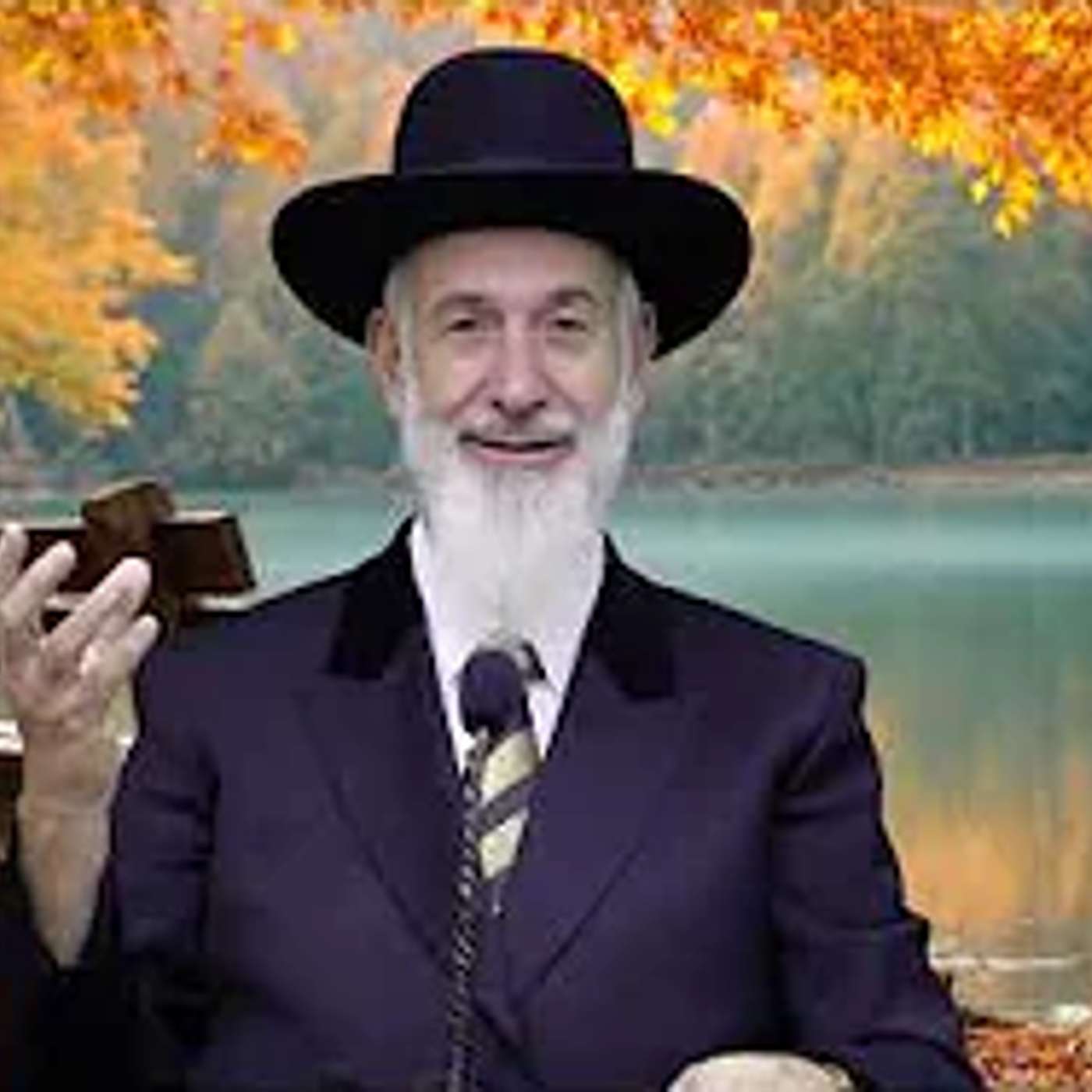 פרשת שופטים | הרב יונה מצגר episode artwork
