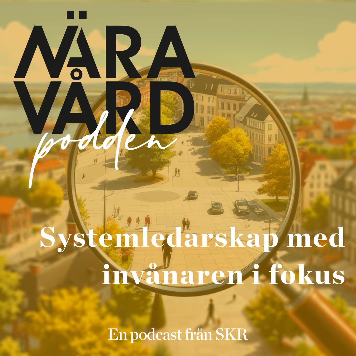 Systemledarskap med invånaren i fokus