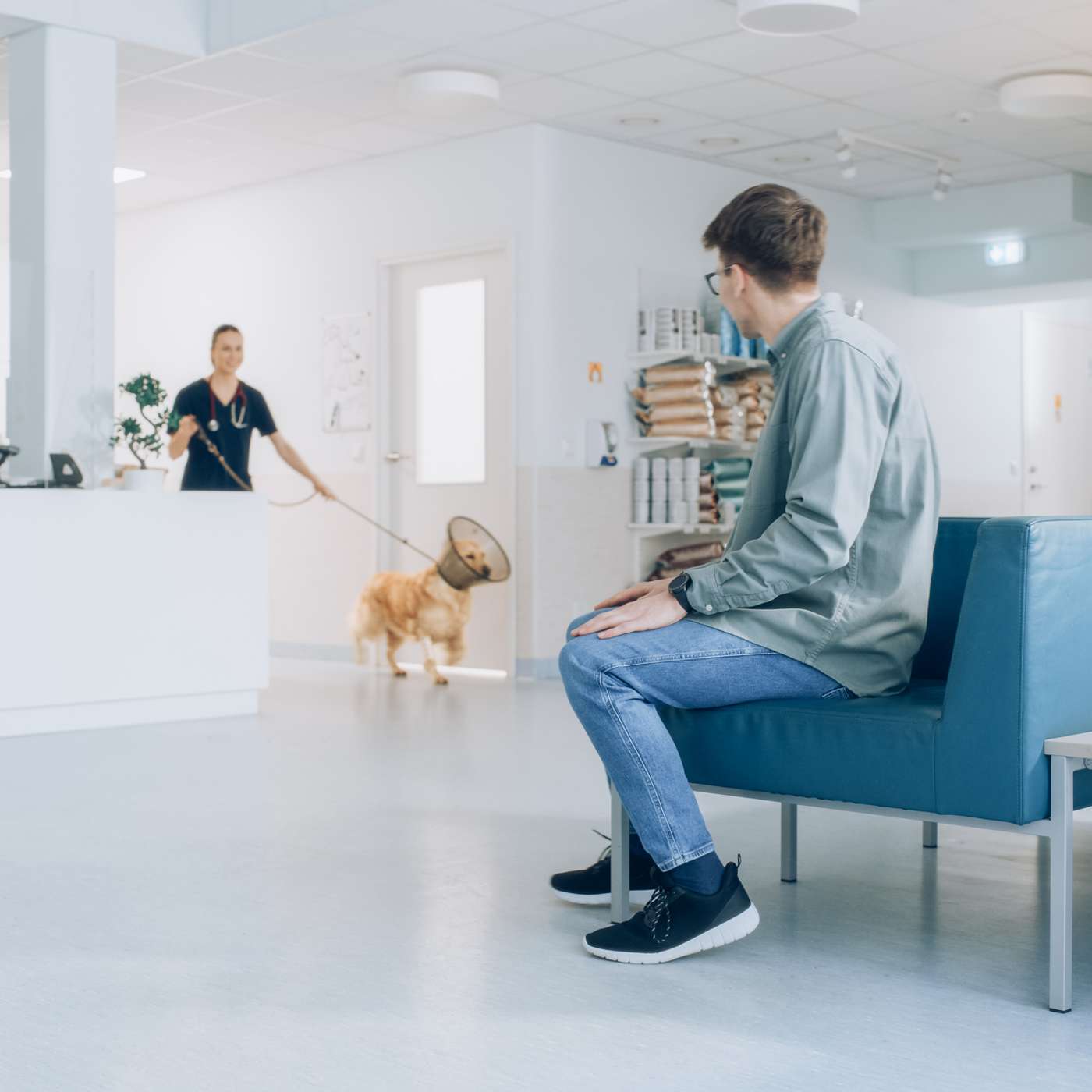 The Veterinary Lobby: Where Sound and Emotion Meet