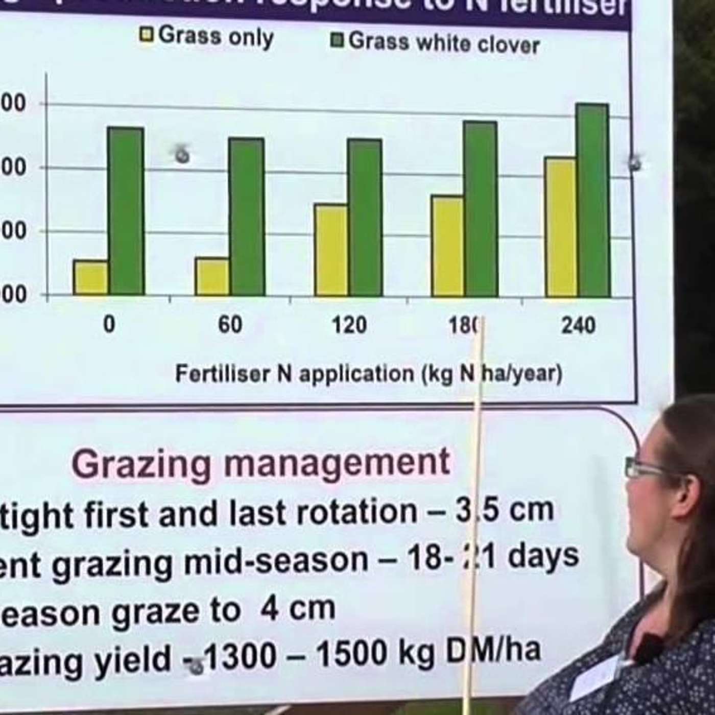 Why you should include white clover in grazing swards