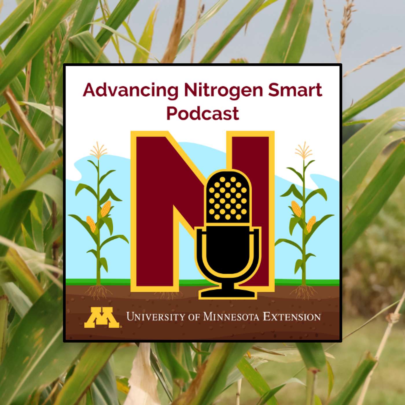 An introduction to MRTN: Efficiencies & economics in mind An introduction to MRTN: Efficiencies & economics in mind