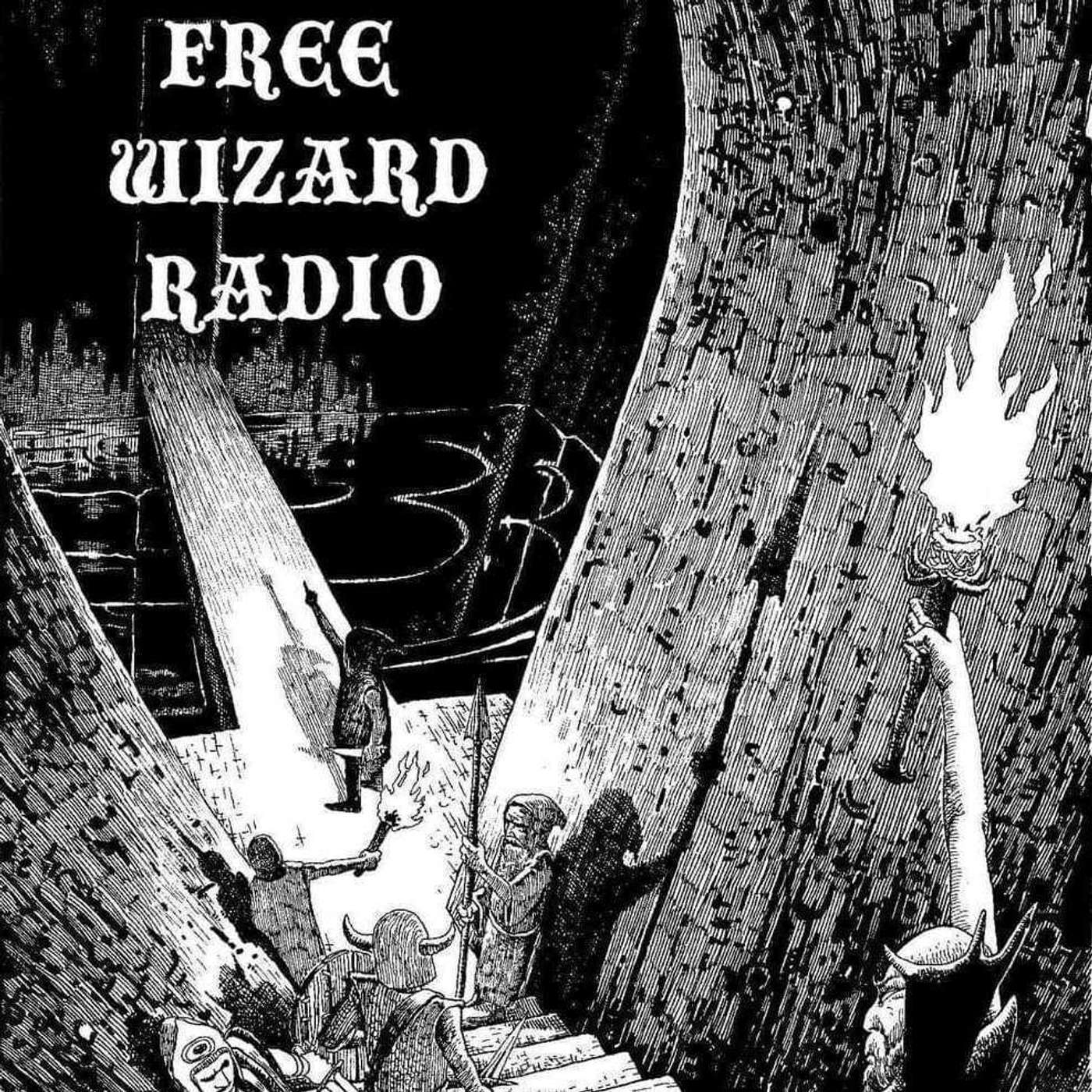 Free Wizard Radio w/ Ryan the Plaid: Episode 8 episode artwork