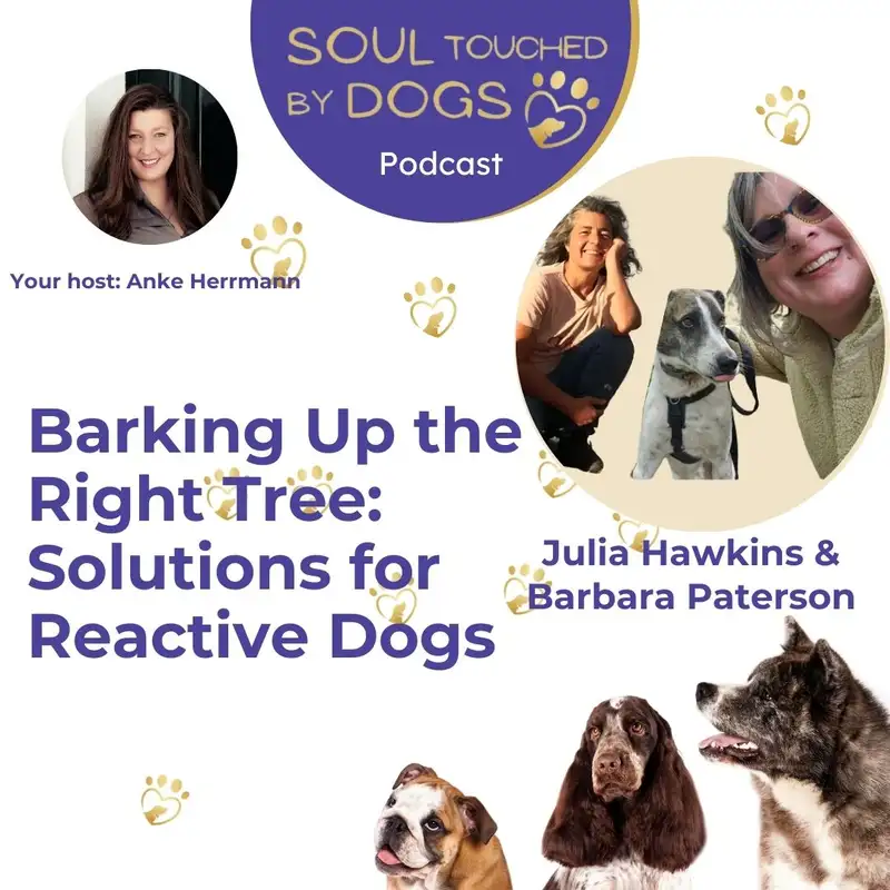 Barking Up the Right Tree: Julia Hawkins and Barbara Paterson on Solutions for Reactive Dogs